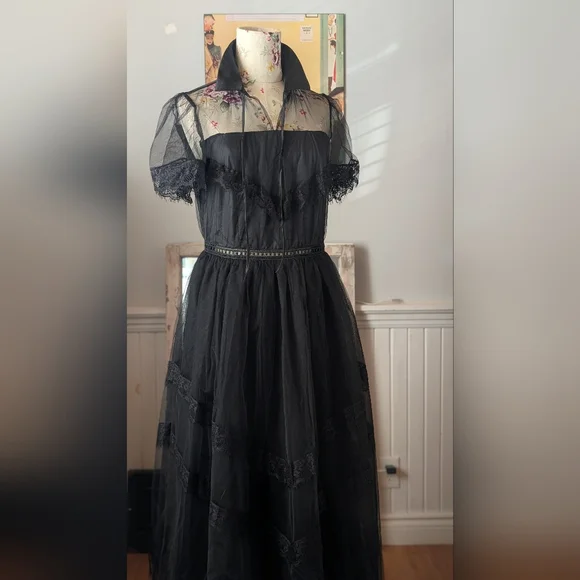 Elegant Black Sheer Dress - Picture 2 of 10